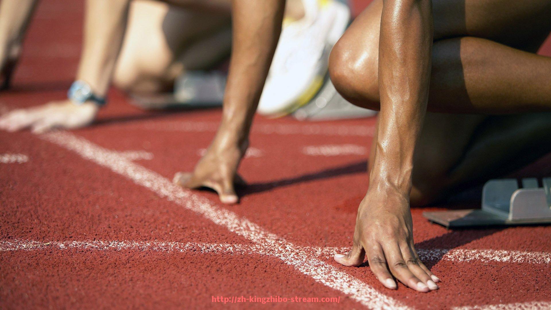 王者体育直播-辽宁足球队借鉴德甲模式的实践与成效分析