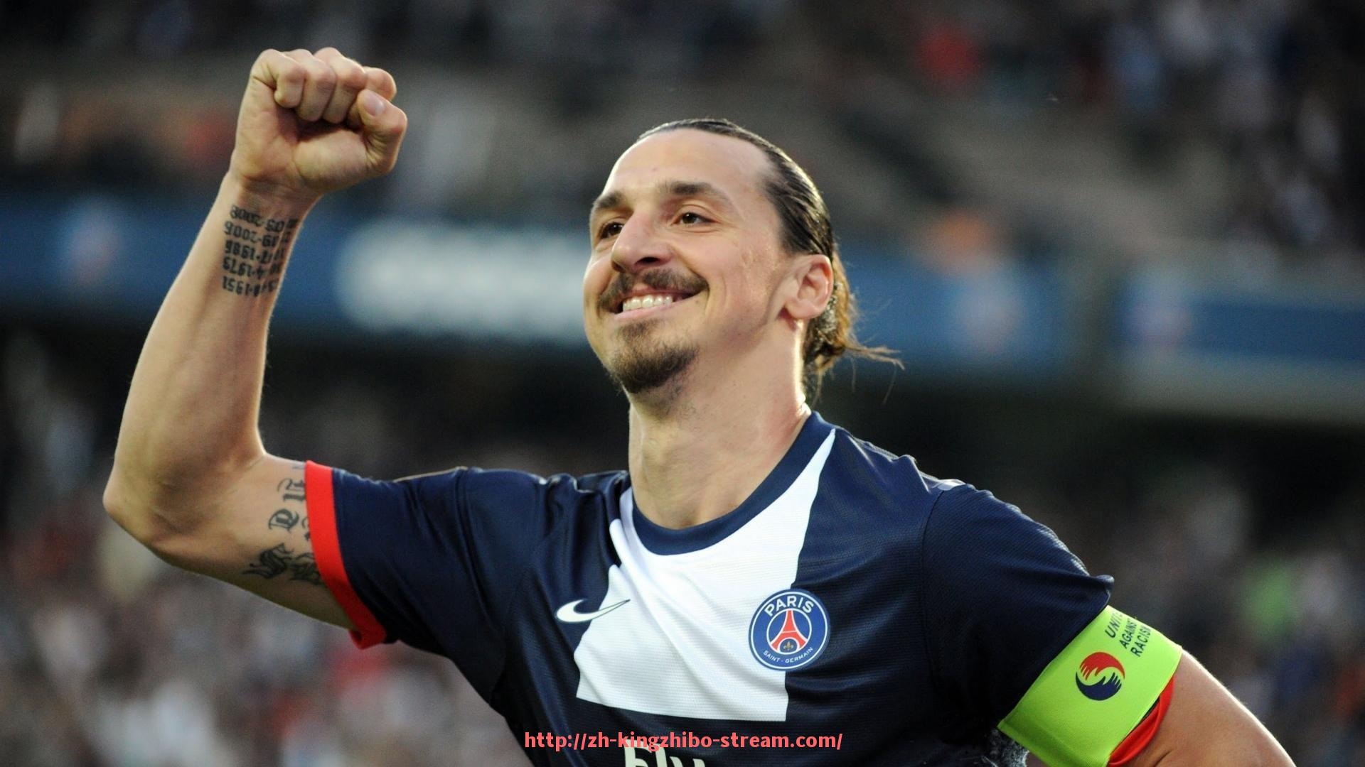 王者体育直播-法甲2024赛季目标达成情况全面评估与展望